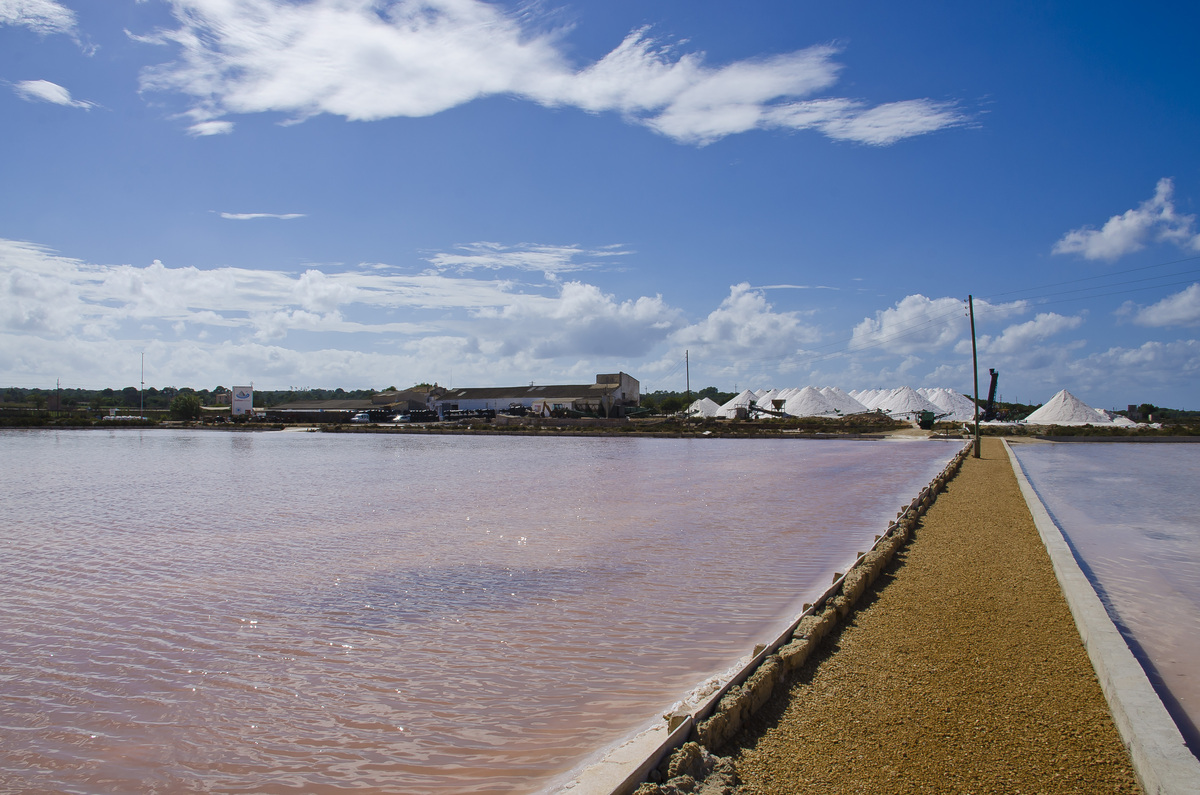 Ses Salines 2